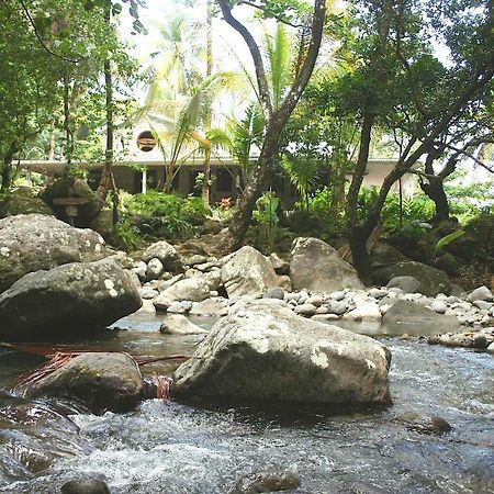 Вилла Citrus Creek Plantation La Plaine Экстерьер фото