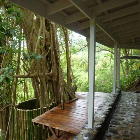 Вилла Citrus Creek Plantation La Plaine Экстерьер фото