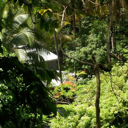 Вилла Citrus Creek Plantation La Plaine Экстерьер фото
