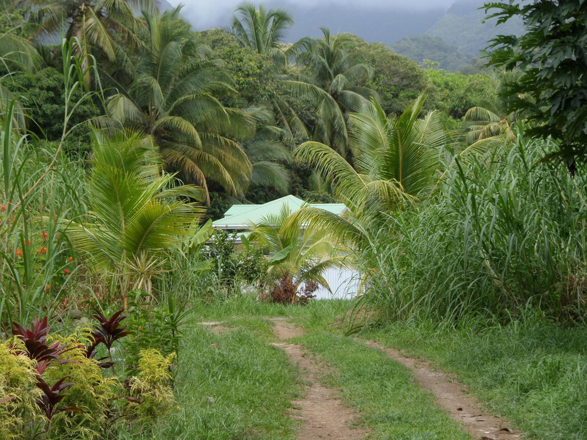Вилла Citrus Creek Plantation La Plaine Номер фото
