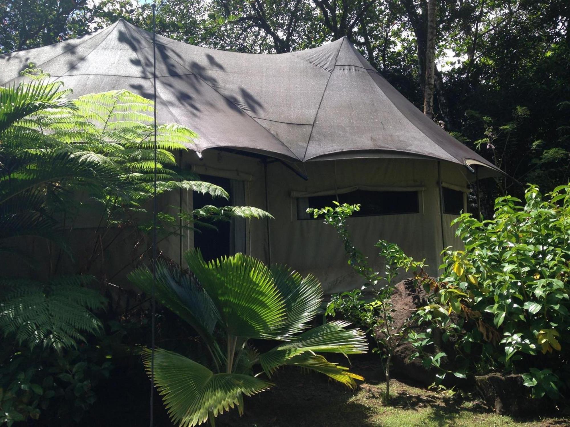 Вилла Citrus Creek Plantation La Plaine Номер фото