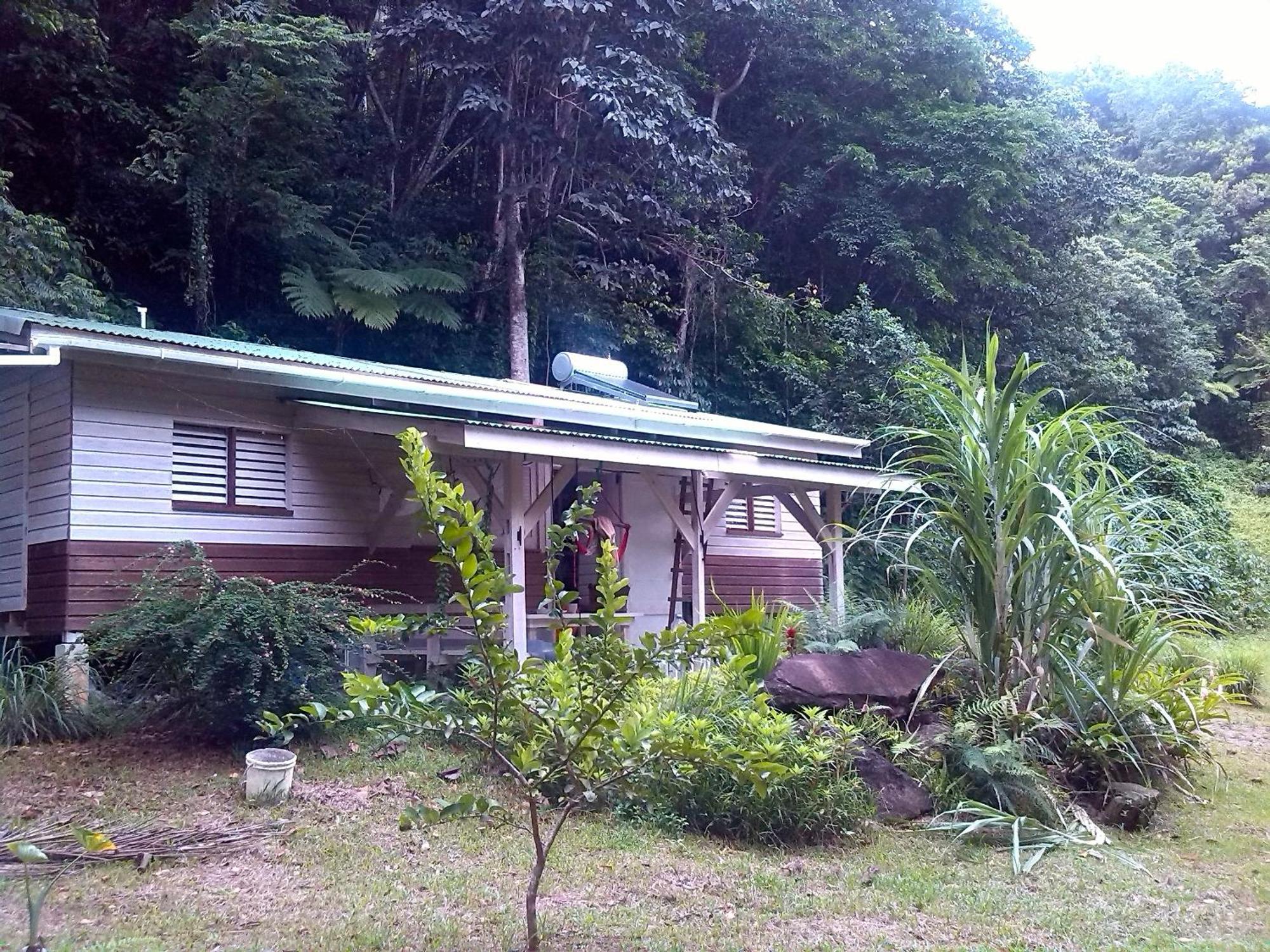 Вилла Citrus Creek Plantation La Plaine Номер фото