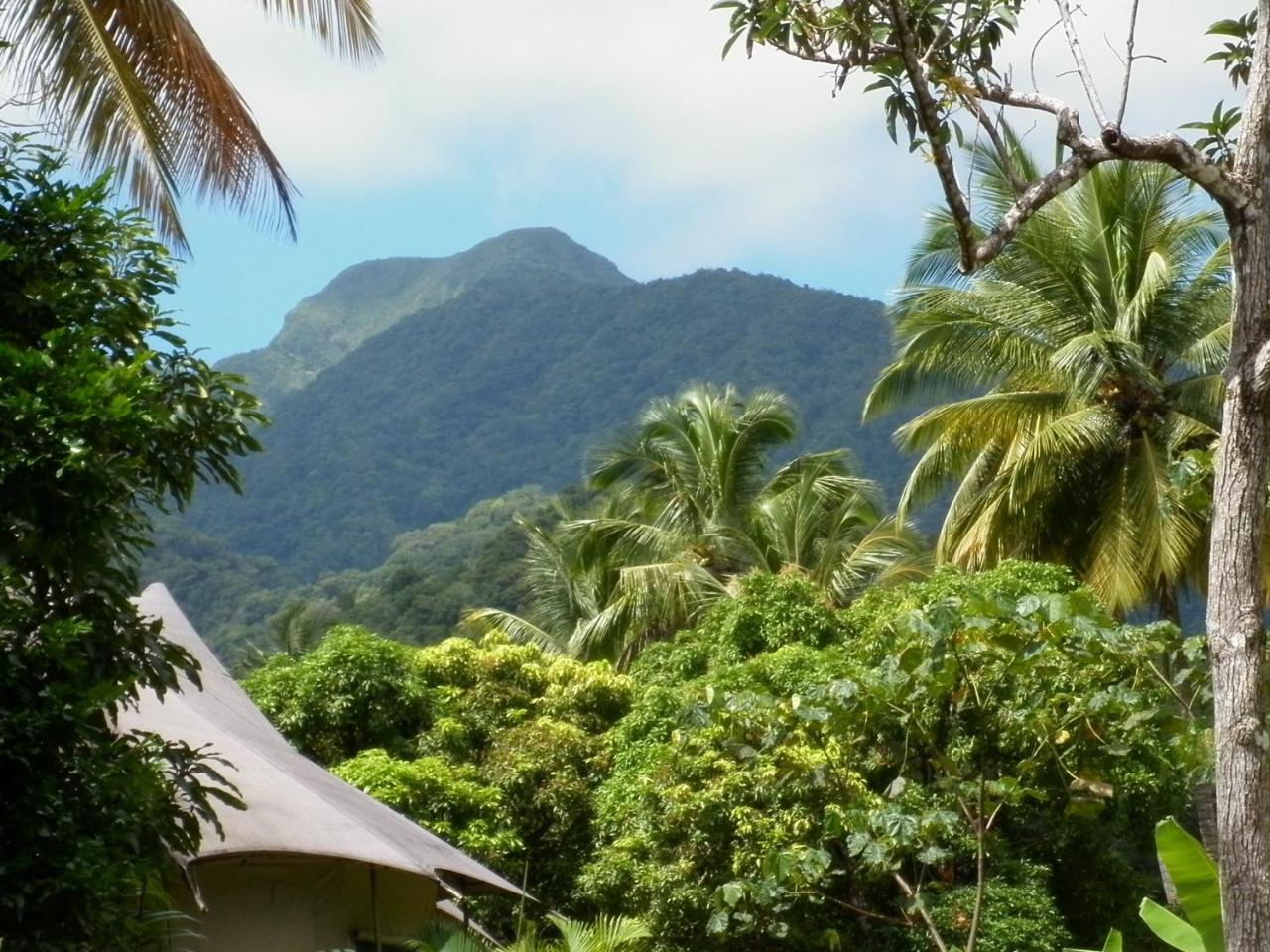 Вилла Citrus Creek Plantation La Plaine Экстерьер фото