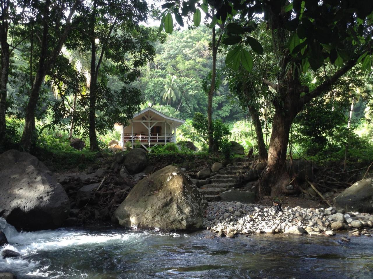 Вилла Citrus Creek Plantation La Plaine Экстерьер фото