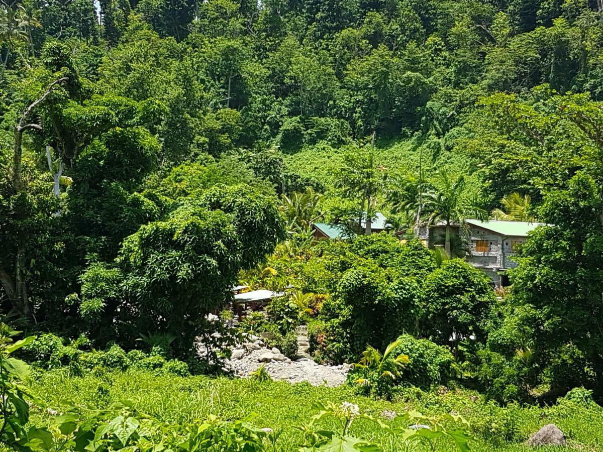 Вилла Citrus Creek Plantation La Plaine Экстерьер фото
